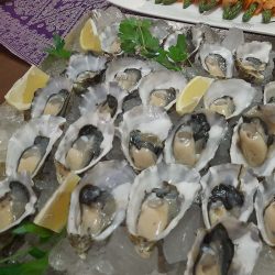 Fresh Oysters